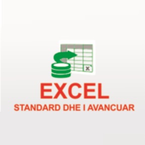 Excel Standard dhe Avancuar